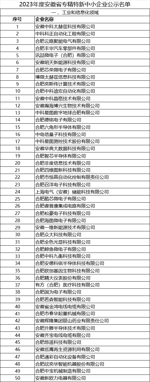 2023年安徽省 專精特新中小企業(yè)完整名單