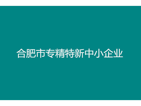 合肥市專(zhuān)精特新申報(bào)認(rèn)定條件